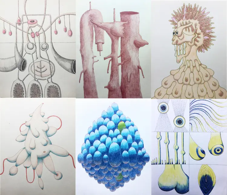 Flore Gardner, Organic Mechanics, selection of ink and coloured pencil drawings, 2016