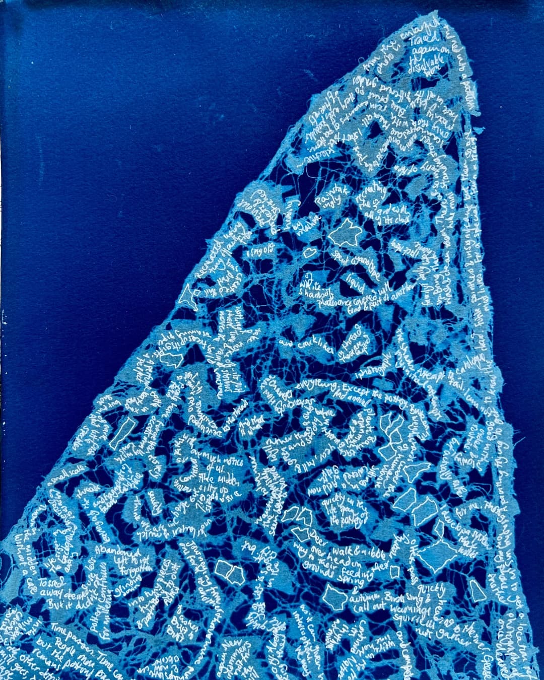 Intricate blue pattern with handwritten text.