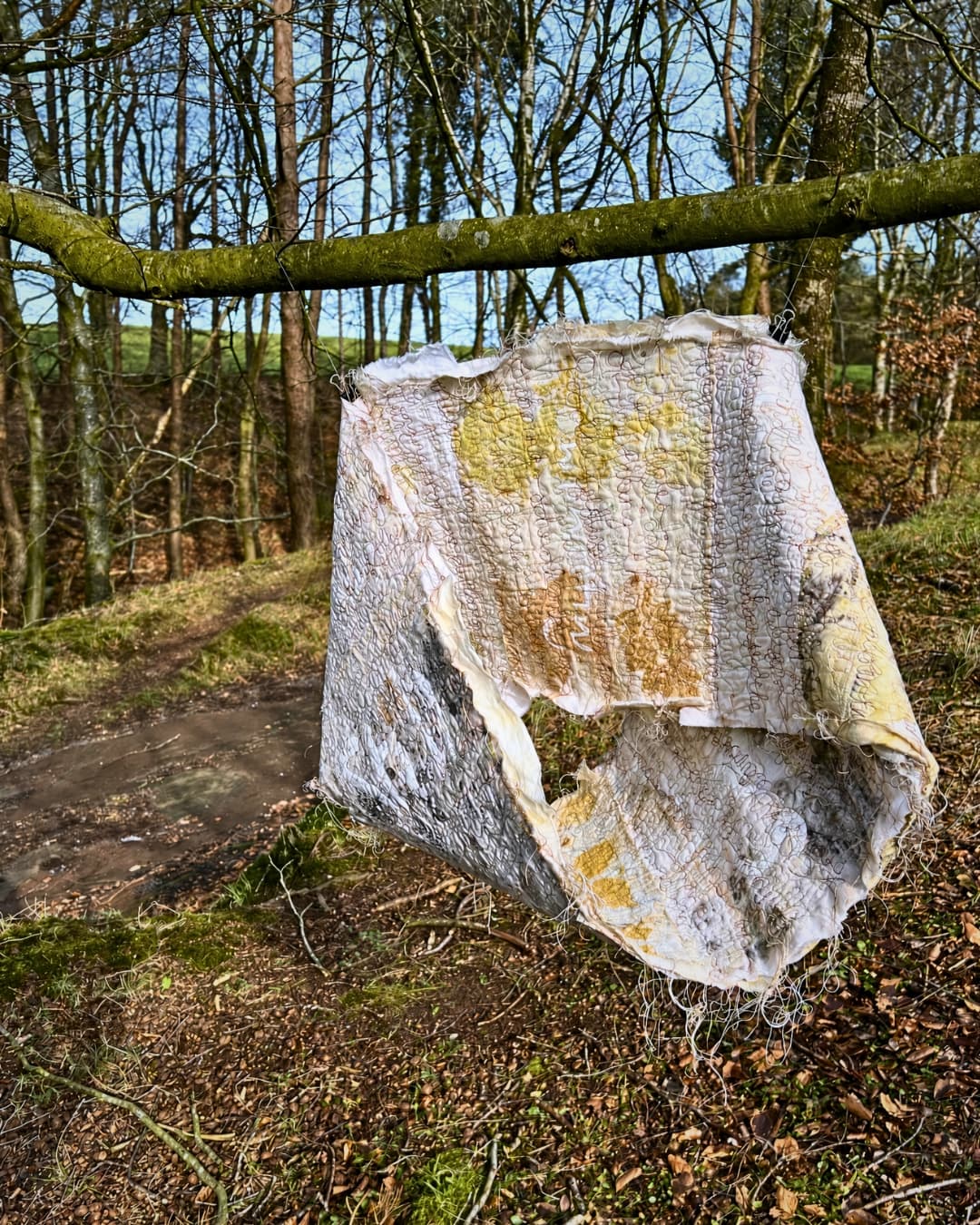 Tattered fabric hanging from a branch.