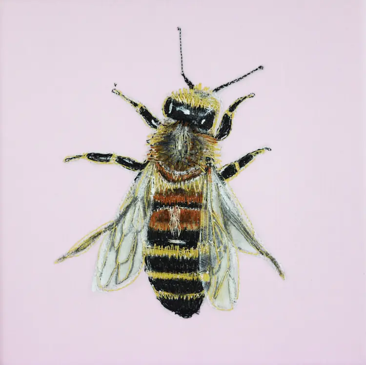 Gillian Bates, Honey Bee