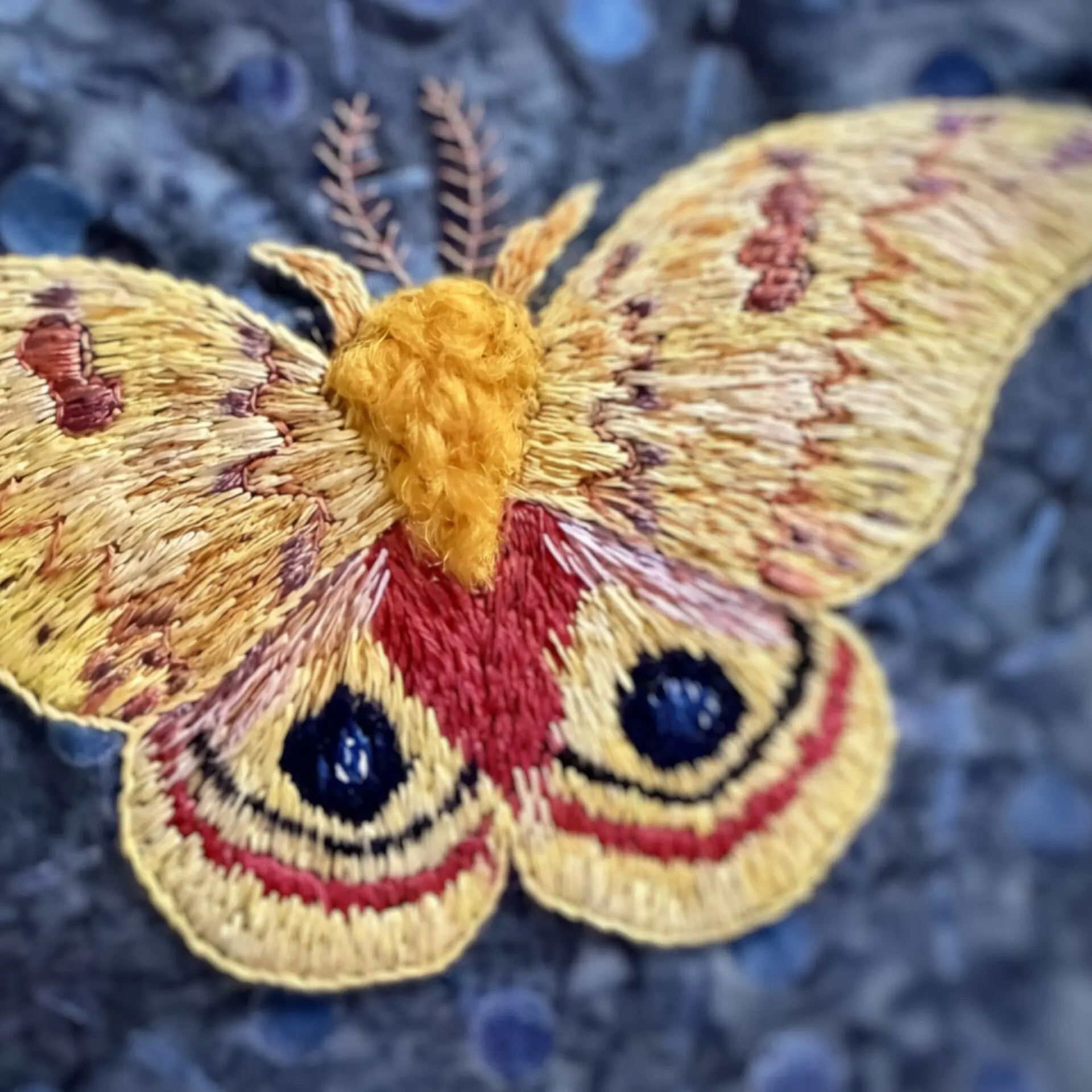 Colourful embroidered butterfly on fabric.