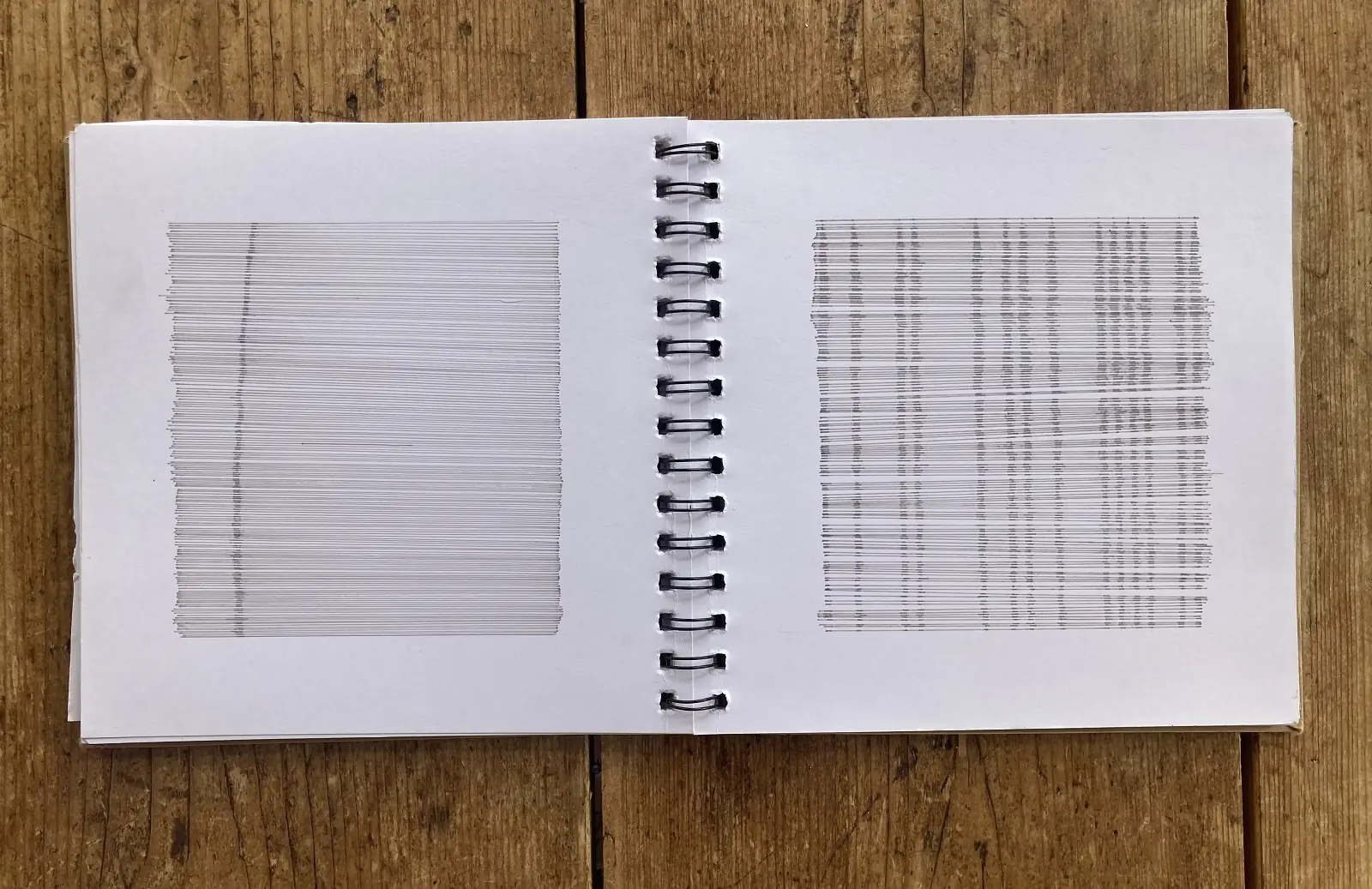 Hanny Newton: Sketch Book Line Drawings. 2020