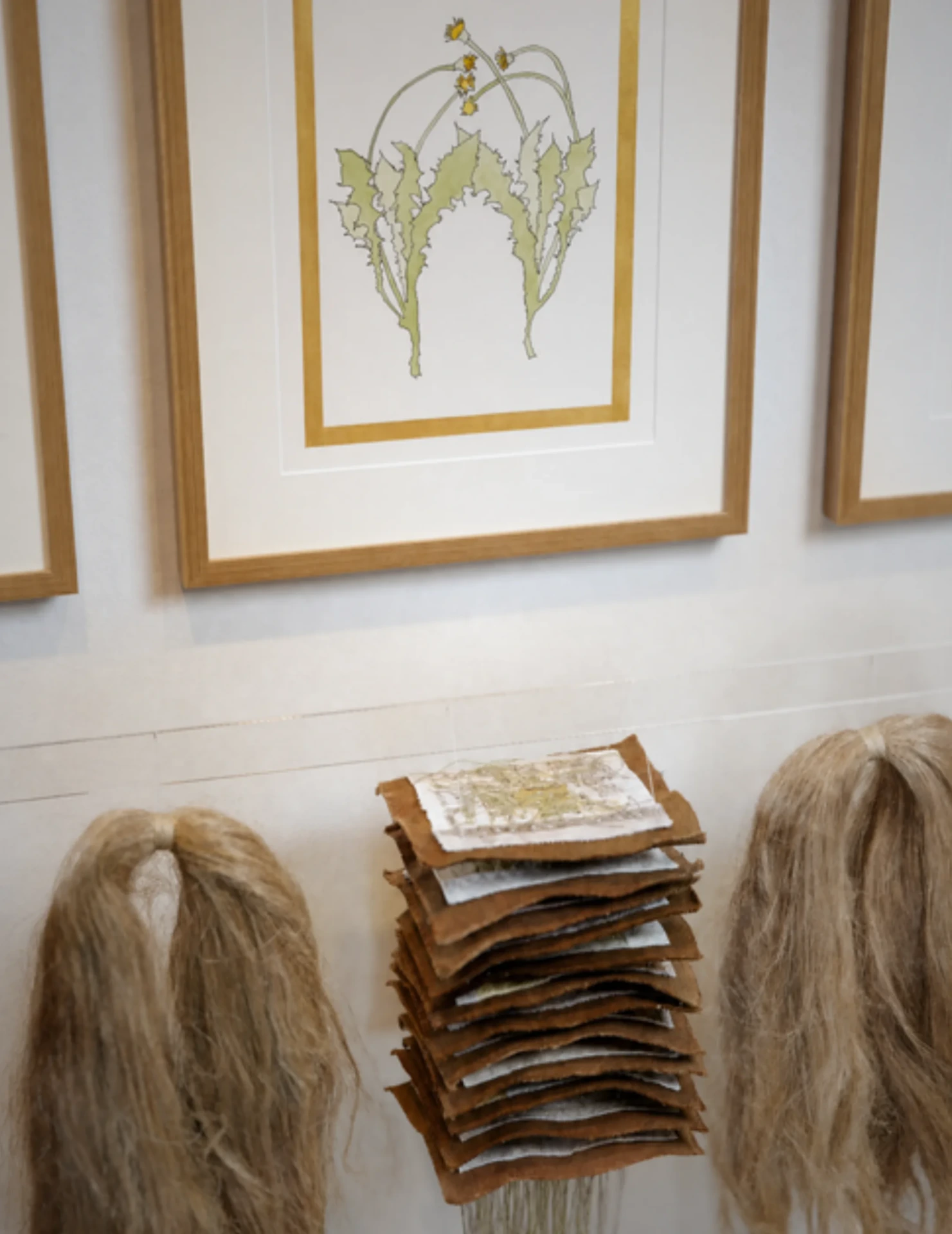 Art display with plant illustrations and textures.