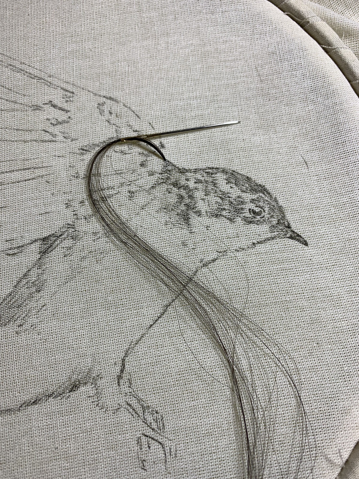 Lin Belaunde Morla: swallow embroidered with my cousin Andrea’s hair