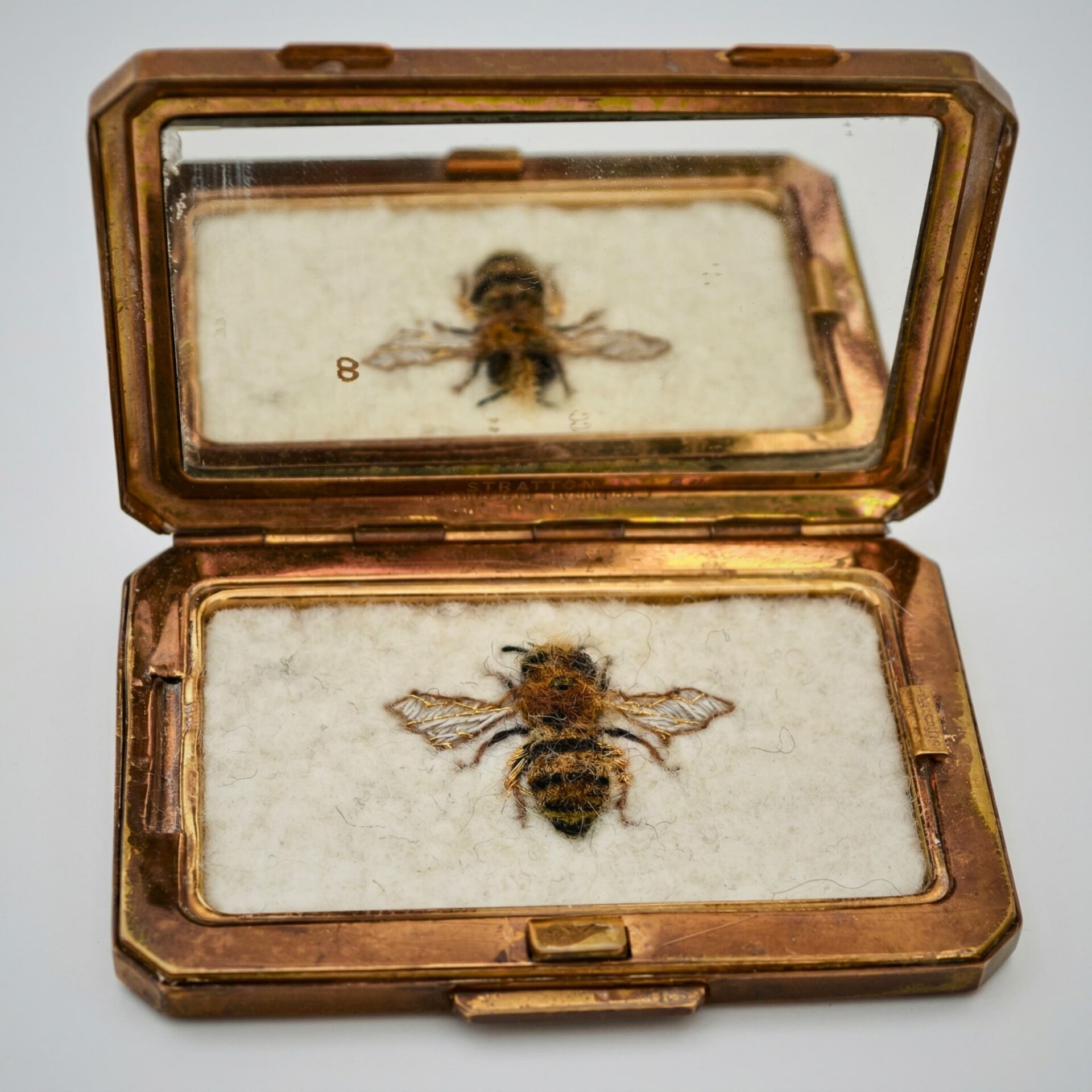Stitched Bee specimen in a compact mirror.