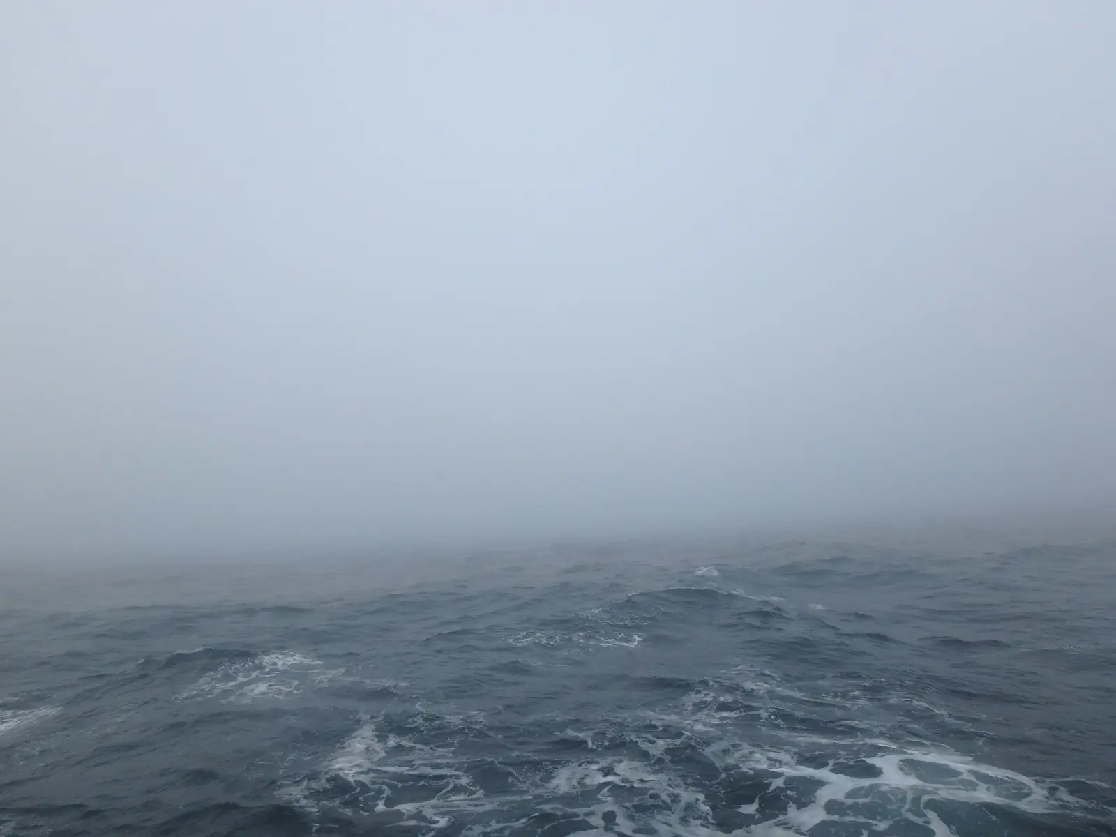 Lindsay Olson: Fog bank