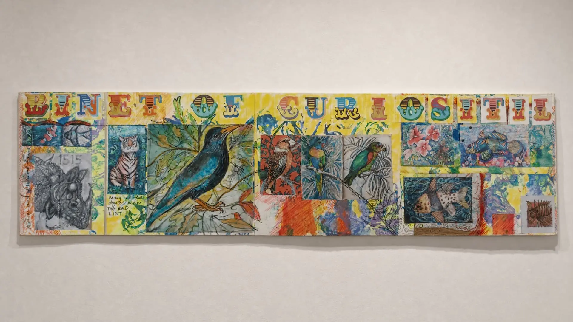 Colourful collage of various curiosities.
