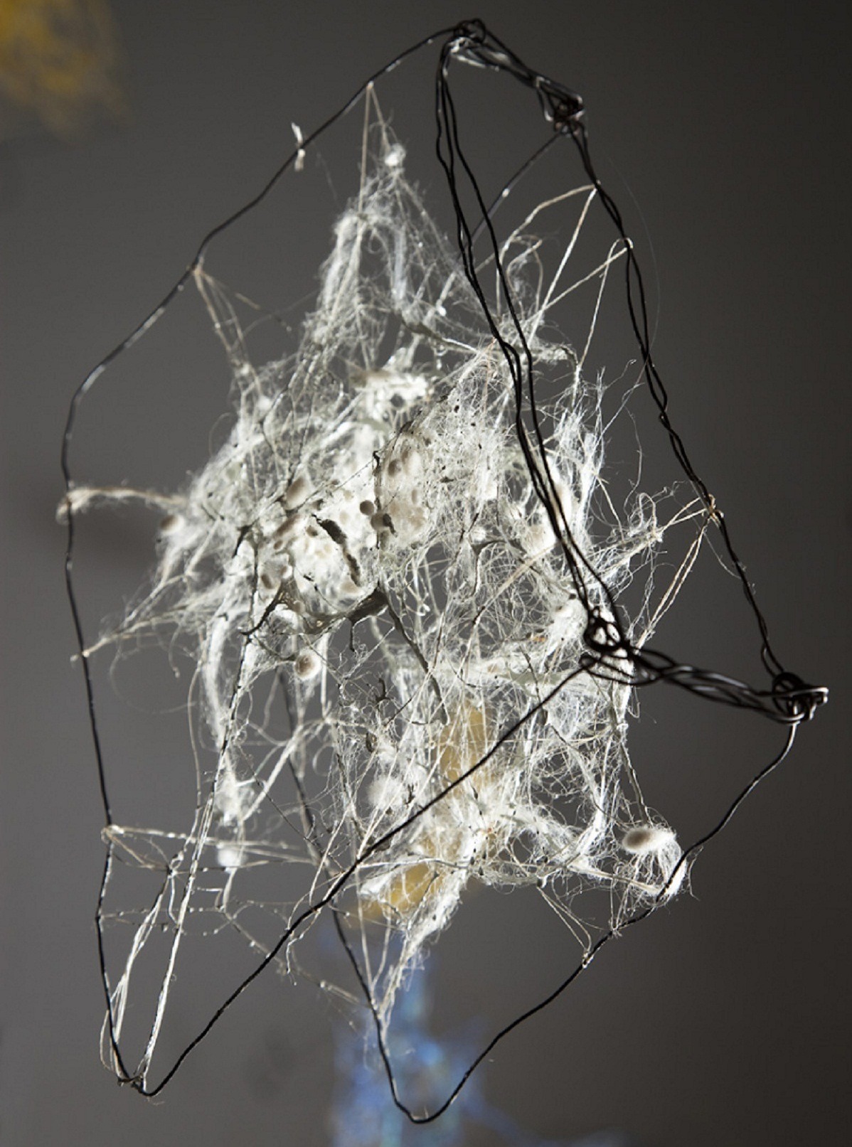 Patrizia Polese: Booknapsi, 2013, iron, hemp, colour acrylic drops