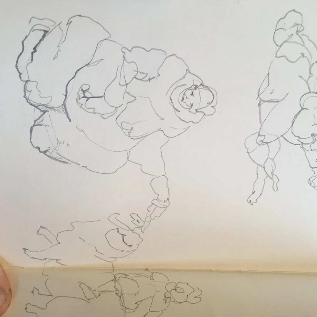 Daisy Collingridge: Sketch