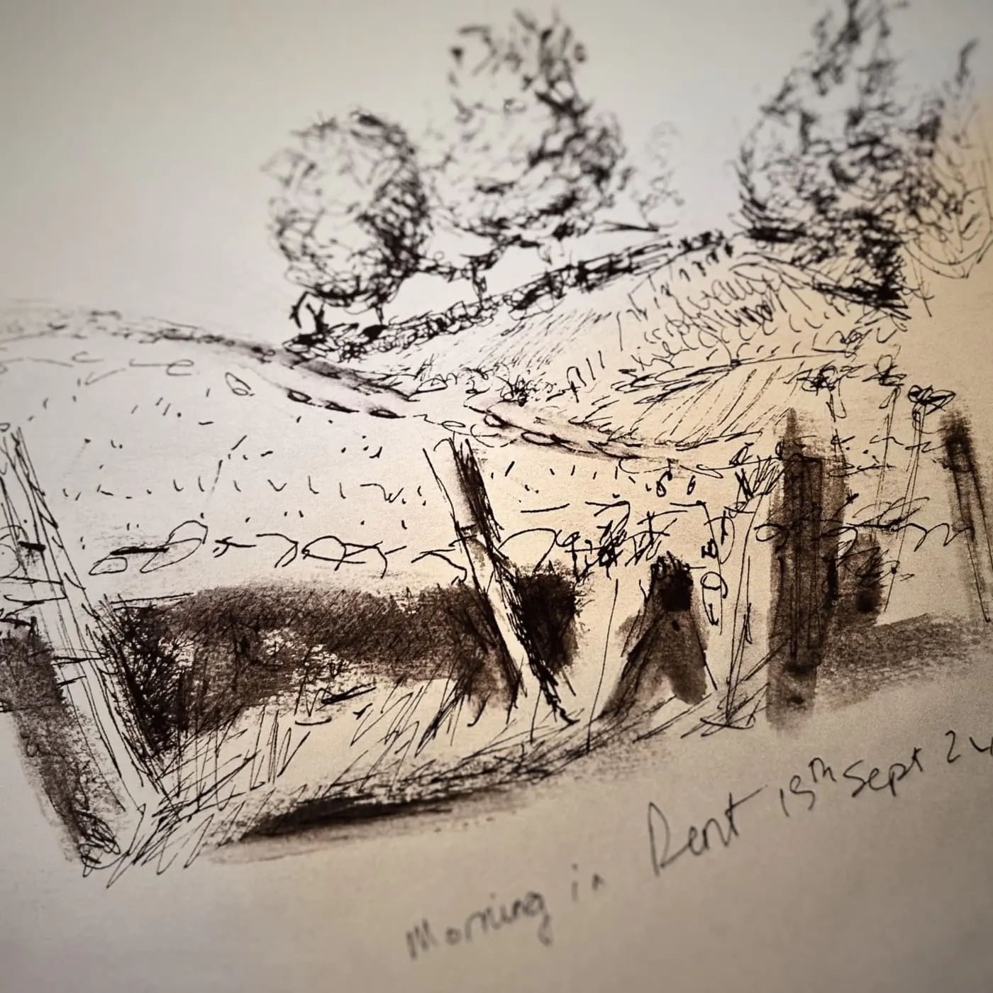 Sketch of hills and trees.