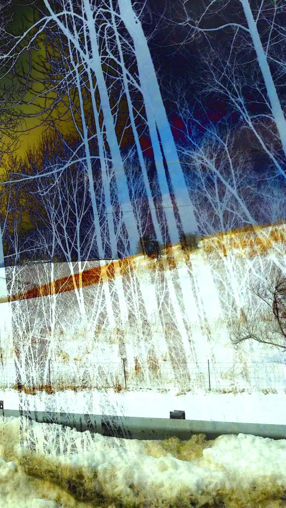 Wen Redmond: Subdivided part of Drawing a Breath
