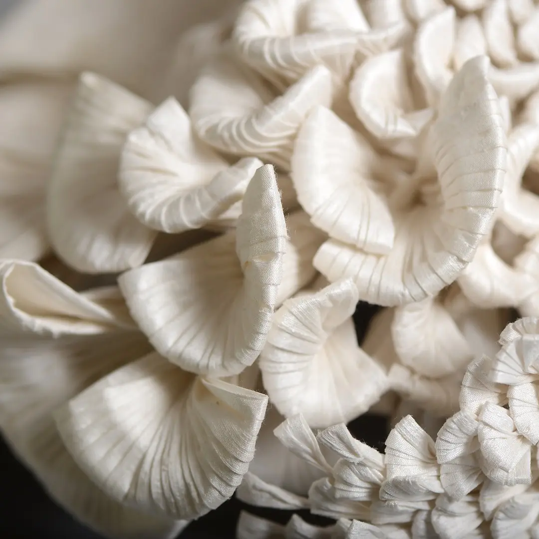 Kinga Foldi, Mushroom (detail), 2020. 35cm x 36cm x 18cm (13" x 14" x 7"). Silk dupioni. Pintuck and individual techniques. Photo: Alida Kovács