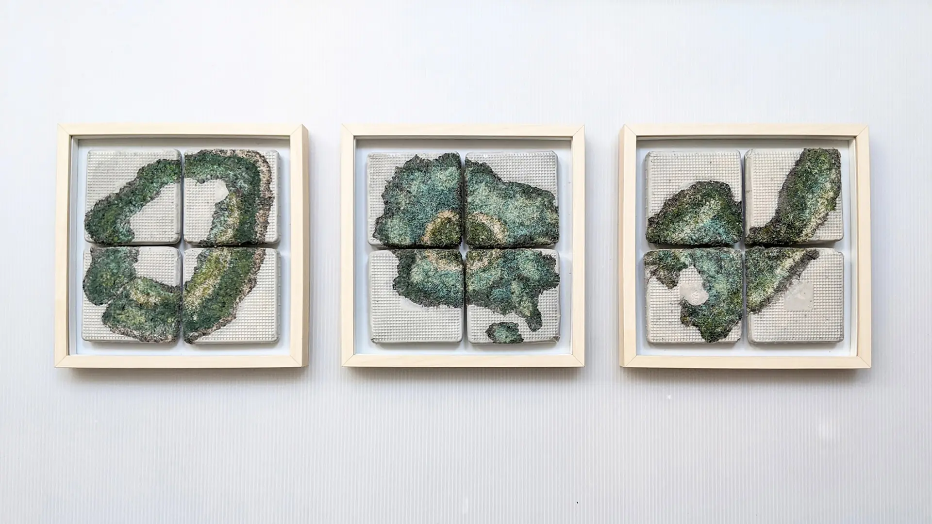 A group of textile art pieces in frames, concrete with embroidered moss and plants growing on them